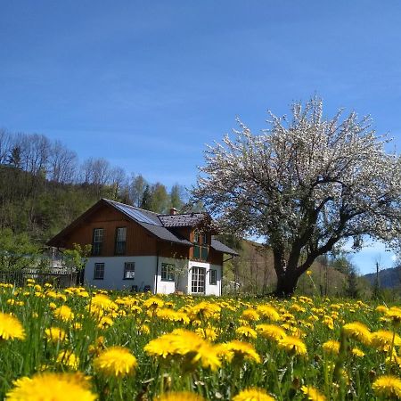 Appartamento Gaestehaus Blonbauer Schladming Esterno foto