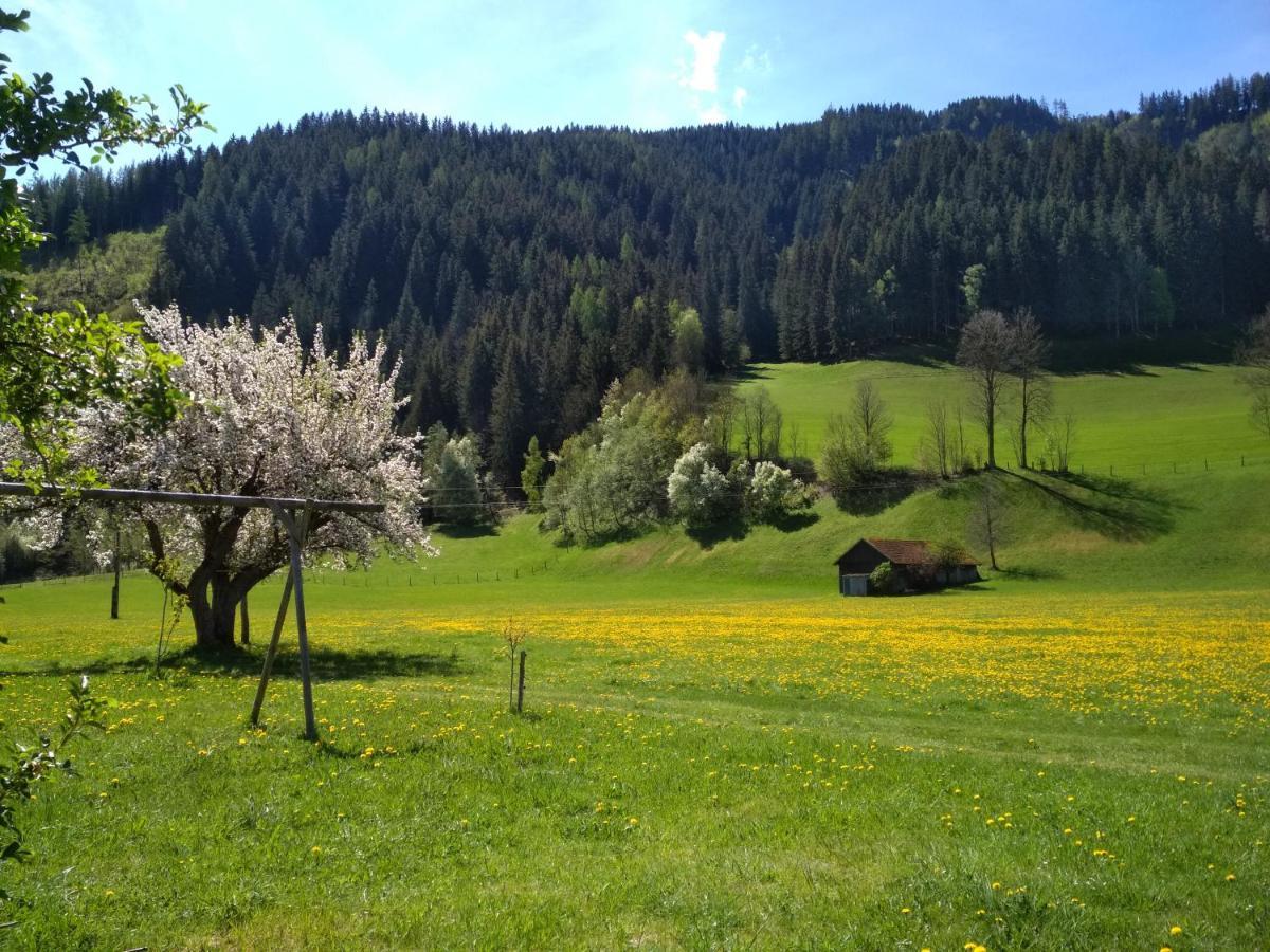 Appartamento Gaestehaus Blonbauer Schladming Esterno foto