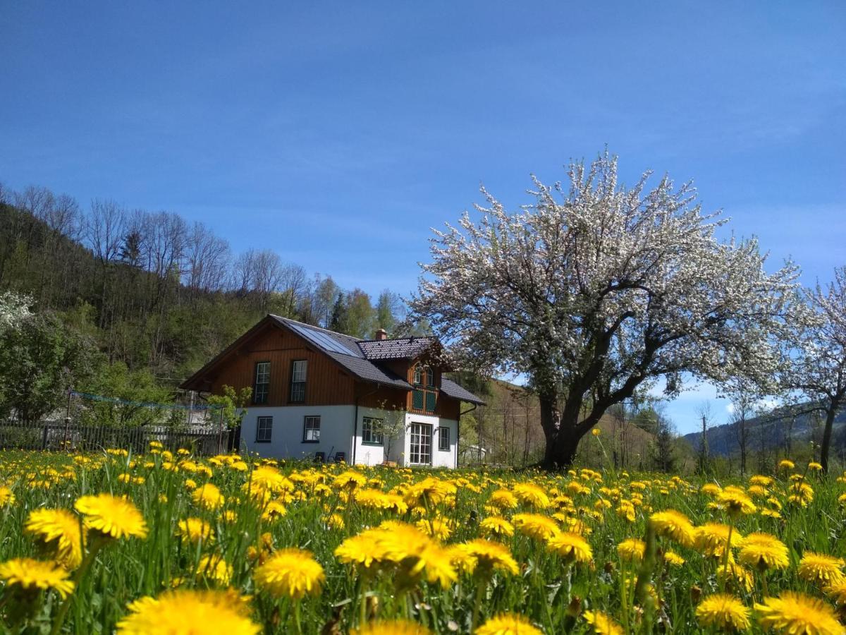 Appartamento Gaestehaus Blonbauer Schladming Esterno foto