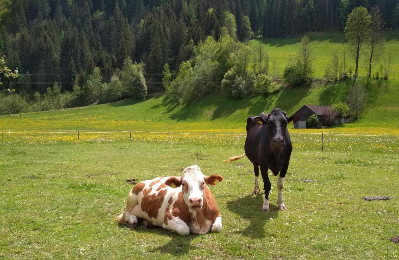 Appartamento Gaestehaus Blonbauer Schladming Esterno foto