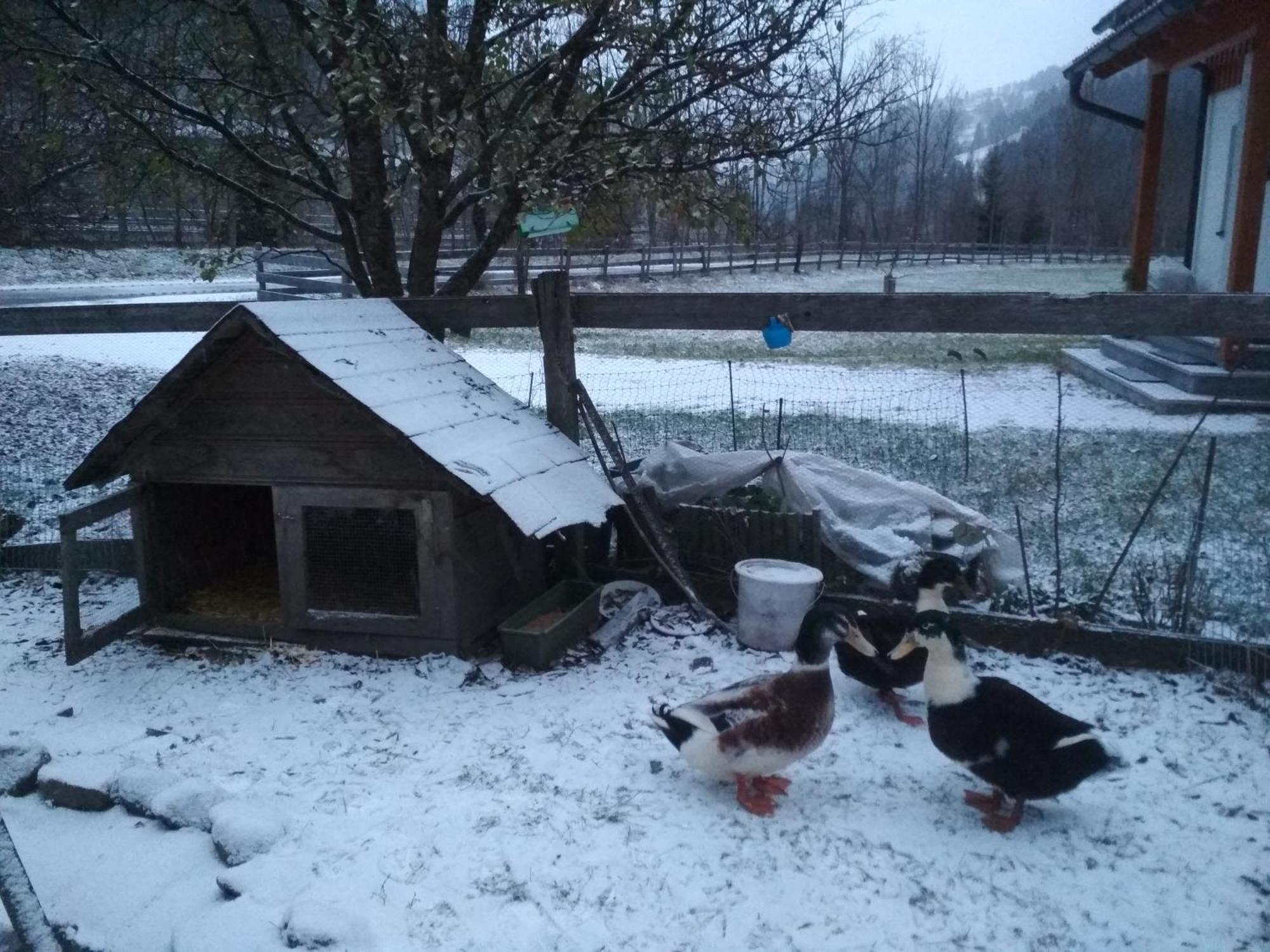 Appartamento Gaestehaus Blonbauer Schladming Esterno foto